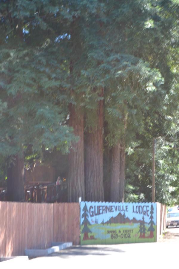 Guerneville Lodge Esterno foto